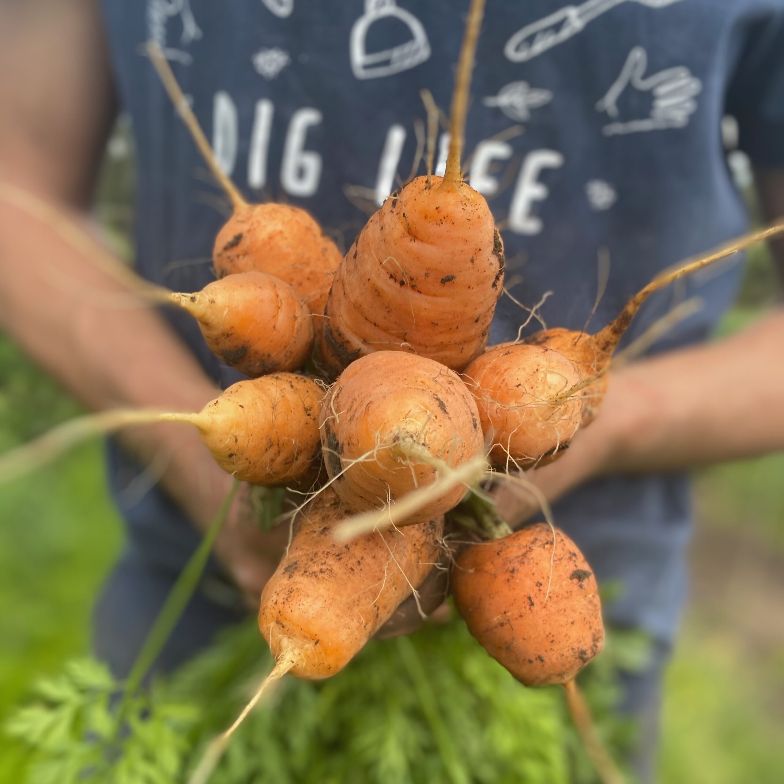 Food Connect social content